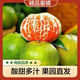 Yunnan mandarin, early ripening, green-skinned mandarin, fresh fruit for pregnant women, sour and sweet, seedless, seasonal citrus, thin-skinned mandarin, seedless, net weight of mandarin orange 3Jin Jin equals 0.5kg
