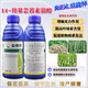 Syngenta Yishiban 14 Hydroxybrassinosteroid Sterol Rice, Peanut and Wheat Flower Preservation, Fruit Production Increase Plant Growth Regulator 1000ml 1 Bottle