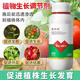 Sodium nitrophenolate can root and strengthen seedlings, promote flower bud differentiation, preserve flowers and fruits, increase fruit setting rate, and eliminate pesticide damage regulator 500g (5 bottles)