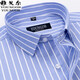 Yager offizielles Flaggschiff-Geschäft für Kurzärärmel-Shirt von Hemd Pure Cotton Business Casual Professional Professionelles Anti-Falten-freies gestreiftes Hemd DX6624 43 Vorschläge [170-180jin [Jin ist 0,5 kg]]