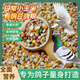 New pigeon food 20 Jin Jin is equal to 0.5 kg. Corn-free pigeon food has corn. Pigeon feed racing nutrition. Pigeon food for adult and young pigeons. 5 Jin Jin is equal to 0.5 kg. Pigeon food with corn and peas. 10 Jin Jin is equal to 0.5 kg.