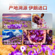 Jinghuang Iranian Saffron 10g * 1 boîte matières premières Origine Iranian Saffron femelle Qi et Blood Health Tea Drink