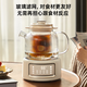 OIDIRE (Odd) health pot all-glass flower teapot teapot kettle constant temperature electric kettle teapot 0 glue multi-function menu 1L ODI-HC07 filter type