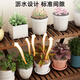 Anya balcony flower stand living room floor-standing multi-layer succulent plant bonsai stand desktop flower pot storage rack