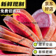 Fresh deer antlers are cut in the deer field, fresh deer antlers are pruned in the middle section of the deer field, sliced with blood and blood, first two-bar soaked wine and medicinal materials, soaked in the middle section of the red deer antler (100 grams) for 5-10 Jin [Jin equals 0.5 kg]