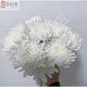 Garden new Qingming Festival yellow and white chrysanthemum flower bouquet mourning grave sweeping ancestor worship mountain praying to God Guangzhou base white chrysanthemum 100 pieces does not include vase