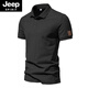 JEEP SPIRIT美式复古珠地棉男士polo.衫纯色休闲商务通勤短袖T恤夏季半袖翻领 紫色(AQ新691) M M(100-120斤)