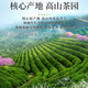 A cup of fragrant tea leaves green tea before Ming Dynasty tender buds Biluochun 250g 2025 new tea spring tea gift box to drink by yourself gift bag