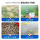 Yuntianhua genuine potassium dihydrogen phosphate for aquaculture fish ponds and shrimp ponds rooting promotion root mulch water-soluble fertilizer agricultural fertilizer original packaging 50Jin Jin equals 0.5kg one bag authenticity guarantee one bag one code