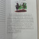 
Aesop’s fable lines with phonetic symbols 88 articles, Chinese and English bilingual comparison, with colored patterns, phonetic symbol series, English enlightenment, English classic reading materials for children, do not support click reading, scan the code to listen to audio, some videos, Harry Potter and the Philosopher’s Stone, with phonetic symbols, Chinese and English comparison 12349
