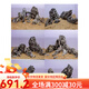 OIMG青龙石造景全套餐骨架成品鱼缸天然大块假山原石草缸石头水草布景 0.9-1m缸青龙石套餐-15664 贴编