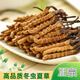 La nueva caja de regalo de Cordyceps seca Cordyceps seca de Kangsil para dar regalos para nutrir y nutrir la calidad de selección de Cordyceps para los ancianos Tíbet Nagqu Cordyceps aproximadamente 2 raíces/g 40 raíces (caja de regalo)