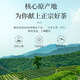 一杯香乌龙茶武夷山正岩大红袍兰花香一级250g礼盒装茶叶自己喝送礼品袋
