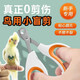 Nail scissors for parrots, nail sharpener for birds, claw sharpener for birds, nail clippers for cats, general purpose for beginners, buy 1 get 1 free - special nail scissors for parrots