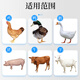 Nanhua Qianmu sodium selenite VE veterinary vitamin e pig, cattle, sheep, chicken, duck and goose to assist pregnancy and egg production premix feed additive 2 bags for breeding