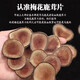 
Sika deer antler slices for wine-making dry blood deer antler official flagship store genuine non-whole antlers [Changbaishan Sika deer] 10g round canned deer antler