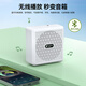 Tuyin K5 Wireless Lavalier Microphone Amplifier for Teachers, Small Bee, High Volume, Anti-Squealing, Noise Reduction Microphone for Teacher Class Meetings, Bluetooth Small Speaker, Outdoor Tour Guide's Voice Protector Tuyin K5-White, Single Model, Wireless Lavalier Amplifier