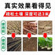 Loosening essence, loosening fertilizer, soil conditioner, agricultural and household no-deep tillage, drought-resistant, loosening, anti-hardening loose soil artifact 2 packs, loose soil and top dressing