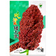 Dwarf wine glutinous sorghum king super ton iron 1 meter red sorghum seed dwarf bird resistant brewed sorghum seed ton beam short big head 50g plant height 1.1 meters