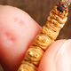 Grass Digger [Real] Wild Cordyceps sinensis Tibetan wild Cordyceps health tonic gift box gift for middle-aged and elderly people First grade grass [1 gram two roots] 5 grams pack Wild Cordyceps sinensis