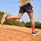耐克（NIKE）JUNIER TRAIL 2 GORE-TEX防水男子越野跑步鞋HM9734 002白金色/白/神秘焰火色/泡沫粉 38.5