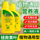 OUOETY concentrated plant nutrient solution, general-purpose green plant special watering water and fertilizer, potted flower fertilizer, grass flower liquid fertilizer, general-purpose plant 550ml*4 free gift