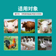 Mildew removal agent for veterinary animals, special mold removal agent for sows, chickens, ducks, geese, cattle and sheep, 1 barrel of 20 Jin Jin is equal to 0.5 kg, buy 5 and get 1 free