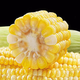 Fresh sweet corn Freshly picked fresh fruit corn Fresh sweet corn on the cob Fresh vegetables can be eaten raw for breakfast Fresh fruit corn 1Jin Jin equals 0.5kg Net weight starting from 300g