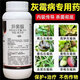 Special medicine for gray mold, iprodione fungicide, blight, cucumber, leek, tomato, strawberry, grape, fruit tree, gray mold pesticide 500g