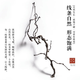 龙枣干枝树枝树干装饰弯曲龙爪插花干枝风干干花 天然龙枣枝15885cm 一物一拍 干树枝