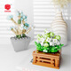 
Shantoulin Village plant building blocks and flowers cute small ornaments DIY assembly toy wholesale XJ-10975(B) Juhuangyu