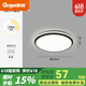 Opudakochi Deckenlampe Wohnzimmer Guangdong Zhongshan Schlafzimmer Wohnzimmer Deckenlampe moderne einfache Studiengang Balkon Lampe Neue Stil 9215 Aromatische Form 50 cm schwarz drei Farben