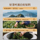 Zhongling Phoenix Dantong Milanxiang 2025 Spring New Tea Oolong Class Chaozhou Gaoshan Gift Auto-locking Gift 500g Box Box