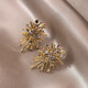 Irregular Fireworks Earrings 2025 New Popular Style Light Luxury High-Quality Autumn and Winter Temperament Earrings Niche Unique Earrings Gold Irregular Fireworks Earrings One Pair