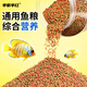 
Half purple and half red ornamental fish feed General fish food floating pellets Guppies Koi Freshwater fish Small fish Food Goldfish Feed Large pellets 1050ml