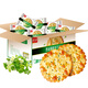 Jiashili Biscuit Snacks Nutritious Breakfast Biscuits Scallion Oil Crackers 828g/Full Box Chives Snack Gift Box