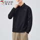 Woodpecker (TUCANO) POLO shirt sweatshirt men's spring and autumn loose top 2025 new autumn collared men's long-sleeved T-shirt bottoming shirt gray green 2XL 140-160Jin Jin equals 0.5 kg