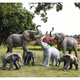 Elephant floor-standing ornaments outdoor simulation sculpture garden landscape fiberglass animal mall grass elephant nose up 90*43*63cm
