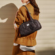 Nueva Nucelle Shen Yue misma Pegasus Bolle Bag 2025 New Boston Bag Bag de una sola bolsa de axila Regalo de San Valentín Chino