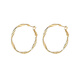 Qlady Mobius gold silver needle earrings women's plain hoop earrings 2025 new light luxury niche high-end earrings earrings