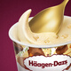Haagen-Dazs macadamia nut vat ice cream 473ml/tub ice cream
