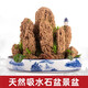 Absorbent stone bonsai chassis on water stone bonsai flower pot shape pot rockery bonsai pot oval ceramic tray Oval No. 1 pot length 20 width 12 height 3.8-P89
