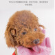 Pet dog and cat bathing gloves, extended bathing artifact comb, cat teddy bear brush supplies, gray 160g silicone 1 piece