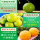 Yan Manqing Rock Sugar Orange Yunnan Authentic Ailao Mountain Rock Sugar Orange Fresh Fruit Hand-Peeled Jelly Sweet Orange Seasonal 5 Jin Jin equals 0.5 kg Preferred Fruit Single fruit 65-75mm Net 4.5 Jin Jin equals 0.5 kg