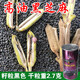 Linpan Huazhi Heiba seeds for courtyard planting, early maturing, high yield, high oil content, high field seeds, dwarf stem leaf yellow 150g barrel dwarf white sesame seeds