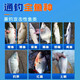 Weituosen Dali horse line set main line set complete set + fishhook fishing line big silver carp and bighead carp 4.5 meters, pull continuously, fishhook is tied, 5 rolls, No. 4