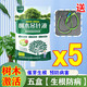 LDVEP large tree nutrient solution hanging needle bag tree resurrection liquid hanging needle liquid fruit tree transplantation survival strong rooting potion regeneration buy 3 get 2 free 200% survival rate 5 bags