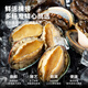 Haidingji shelled frozen abalone net weight 200g (8-14 pieces) fresh frozen original flavor New Year's Eve