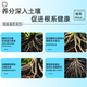 Dewoduo powerful plant rooting solution 50ml gardening cuttings strong seedlings and roots universal hydroponic soil culture flower and green plant nutrient solution