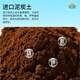 Devodo big bag of succulent nutritious soil 5KG succulent special granular soil for planting potted flower soil (100% granular)